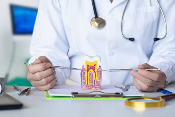 Best Weekend Emergency Dentist in Kinsley, KS